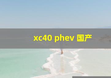 xc40 phev 国产